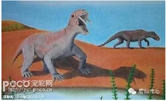 走進(jìn)牙齒的故事，訴說千年的演變