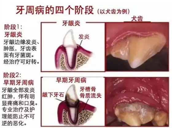 QQ圖片20150815110450.png QQ圖片20150815110450.png