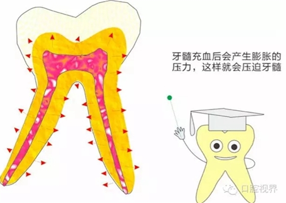 【愛牙科普知識300問】 “什么是牙齦萎縮？”