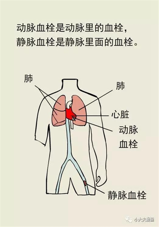 18.jpg 18.jpg