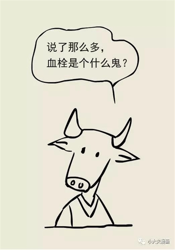 21.jpg 21.jpg