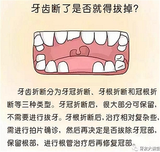 11.jpg 11.jpg