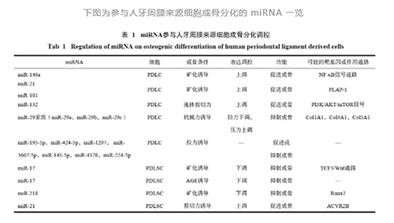 	貼面備牙知多少？