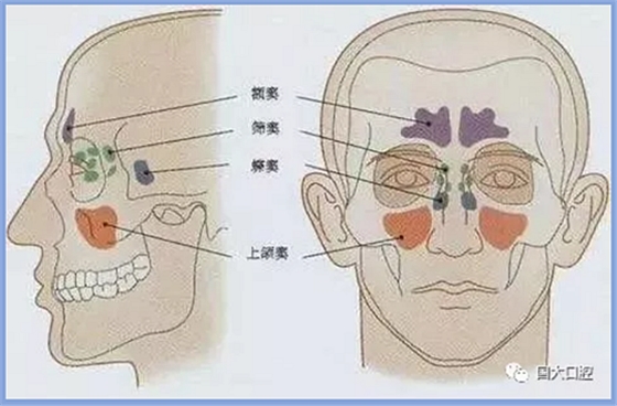 疫情期間，種植科突發(fā)狀況居家處理建議
