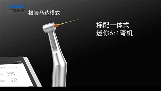 電動馬達(dá)和根管馬達(dá)二合一