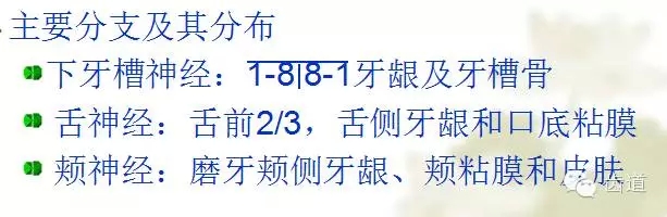 牙醫(yī)基礎(chǔ)知識：口腔頜面部應(yīng)用解剖生理