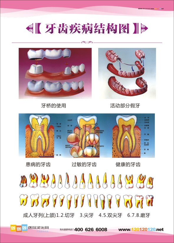 牙齒疾病結果圖