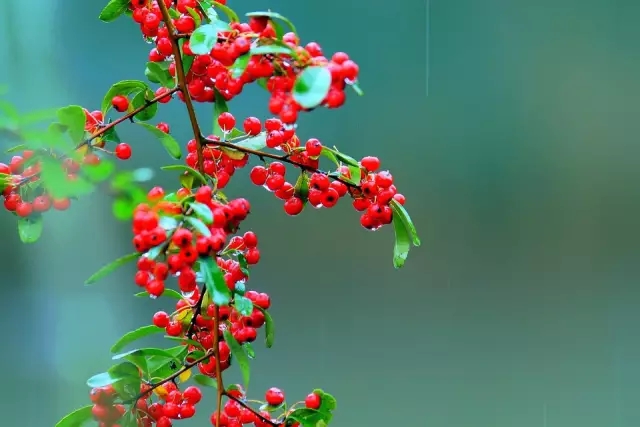 640.webp (25).jpg 640.webp (25).jpg
