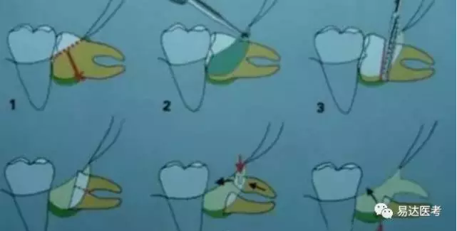醫大口腔 每日一分.png