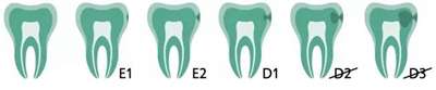 Icon 愛(ài)康滲透樹(shù)脂使用說(shuō)明書(shū)