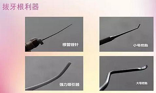 拔牙斷根的去與留？