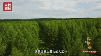 小崔的曝光讓人震驚？然而今天，這些人才是值得去曝的！