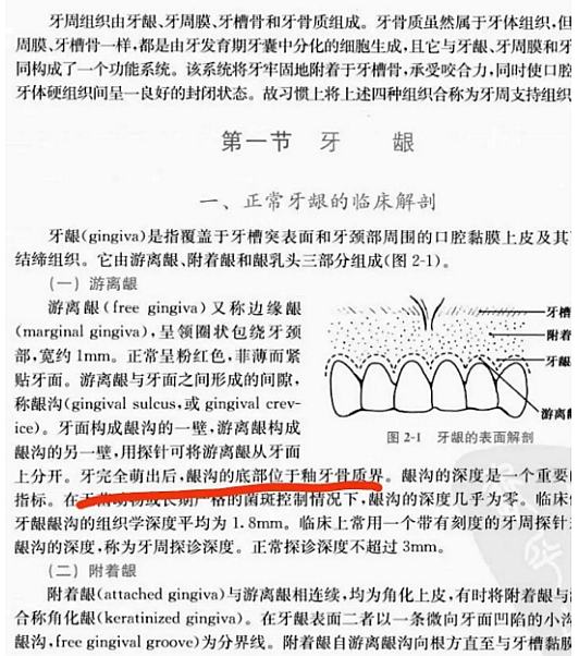 牙周解剖（一）：角化齦和附著齦爭議總結