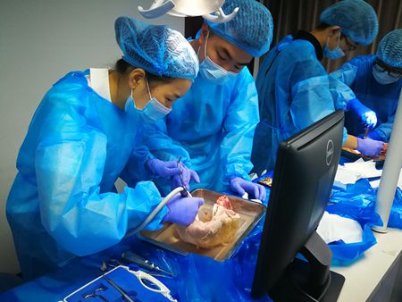 張東星老師杭州微創拔牙課實操培訓分享