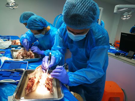 張東星老師杭州微創拔牙課實操培訓分享