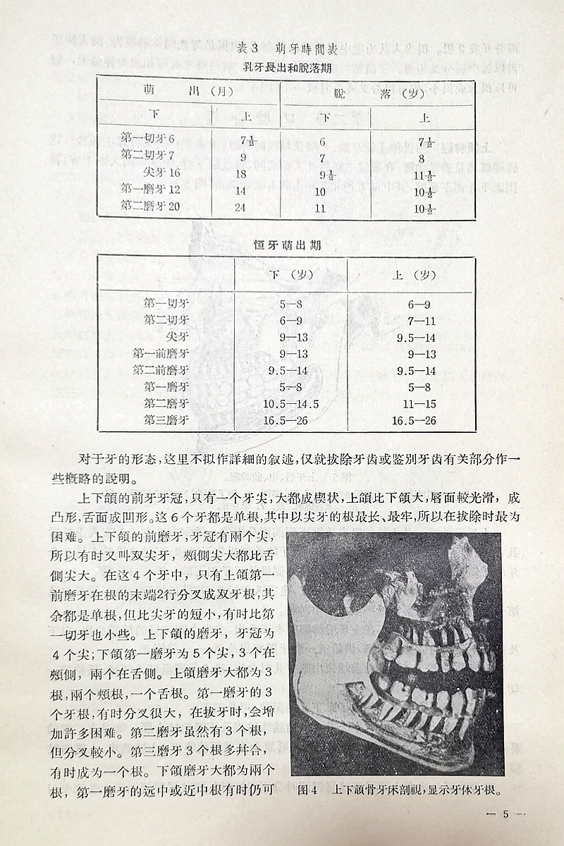實用拔牙學(xué)——主編一級教授陳華